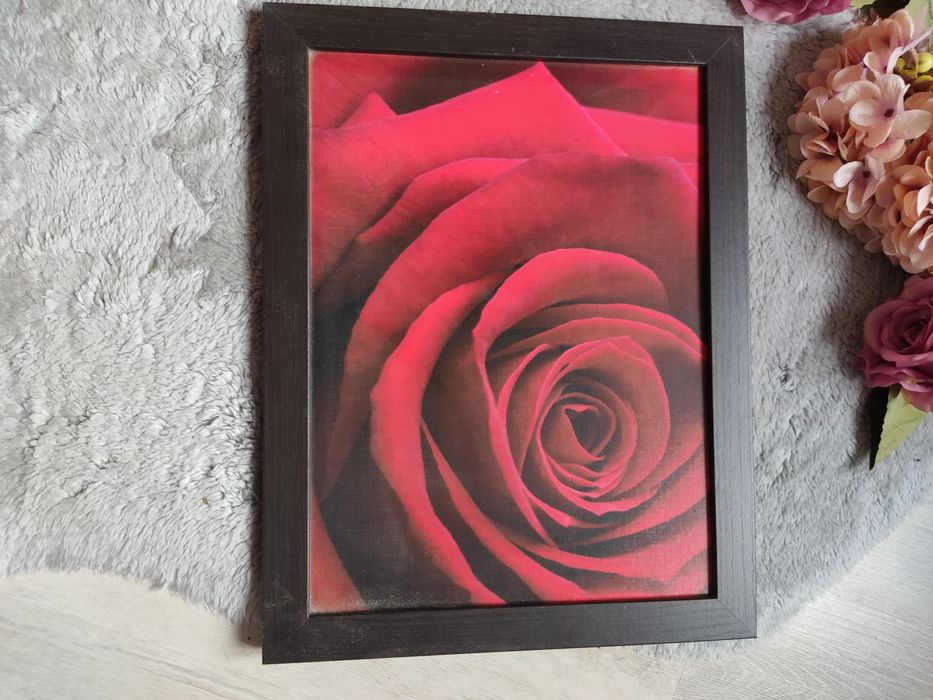 Obraz w ramie drewnianej róża 50 cm