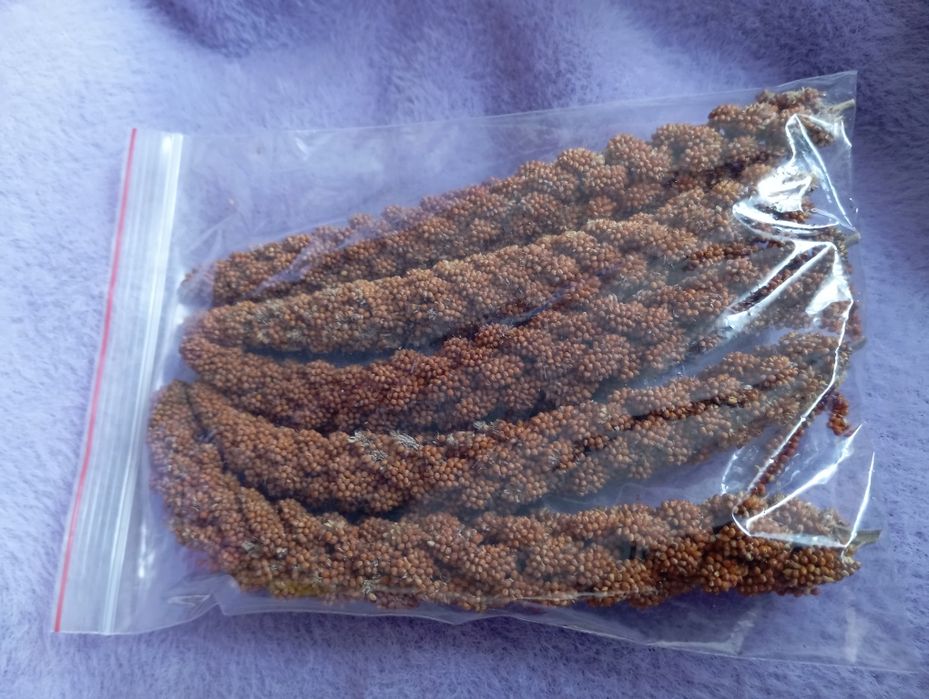 Чуміза для гризунів і папуг