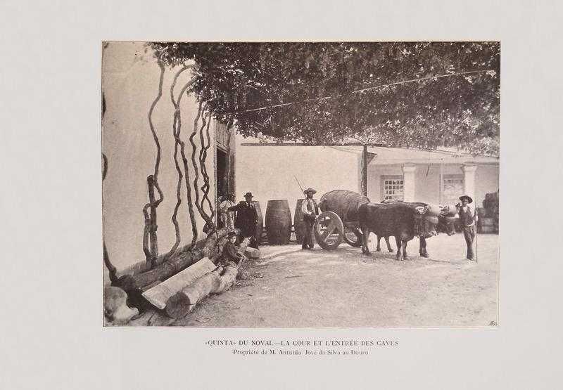 Le Portugal au Point de Vue Agricole, Ouvrage publié sous la direction de B. C. Cincinnato da Costa et D. Luiz de Castro 1900