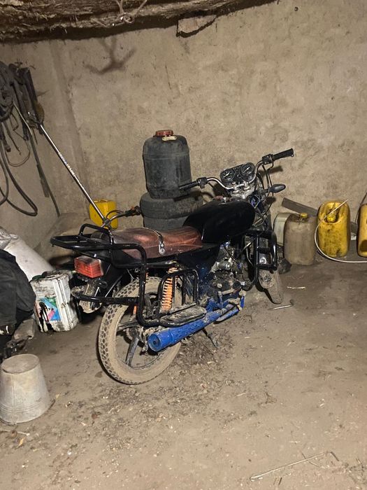 Альфа на повному ходу