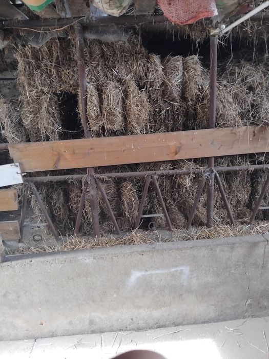 Vendo fardos de palha pequenos