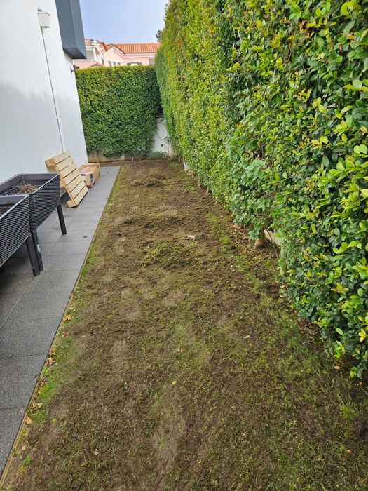 Criação de jardins e instalação de relva natural