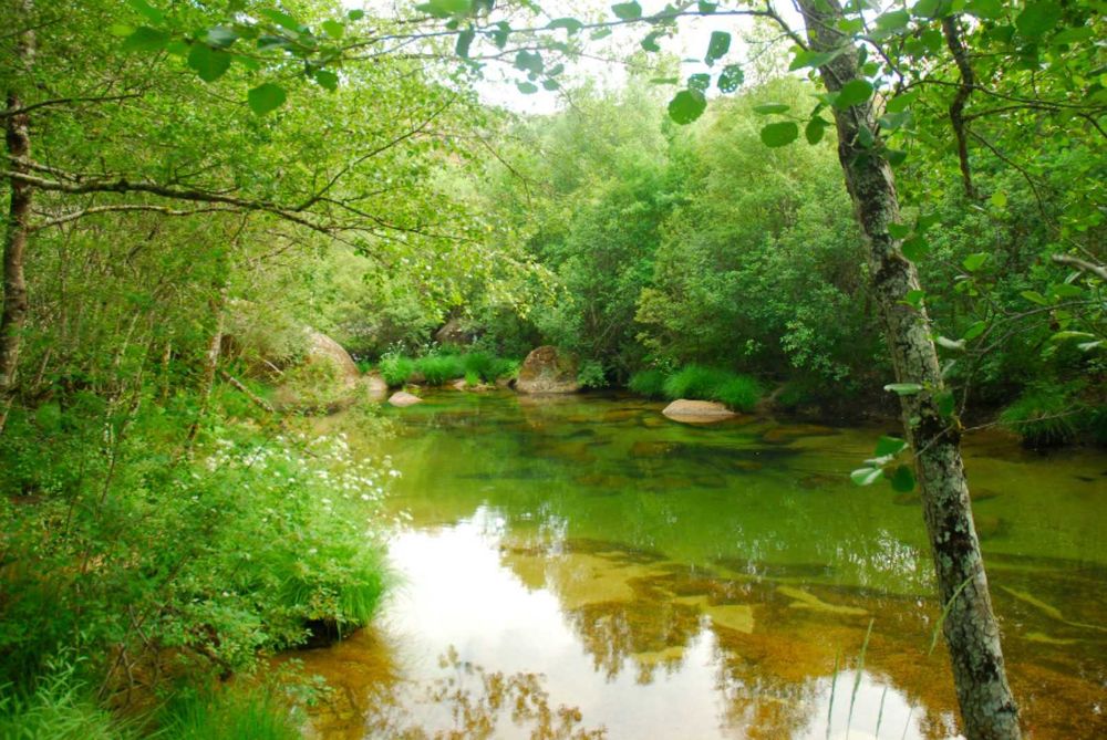 Casa rústica em pedra P.N.P.Gerês