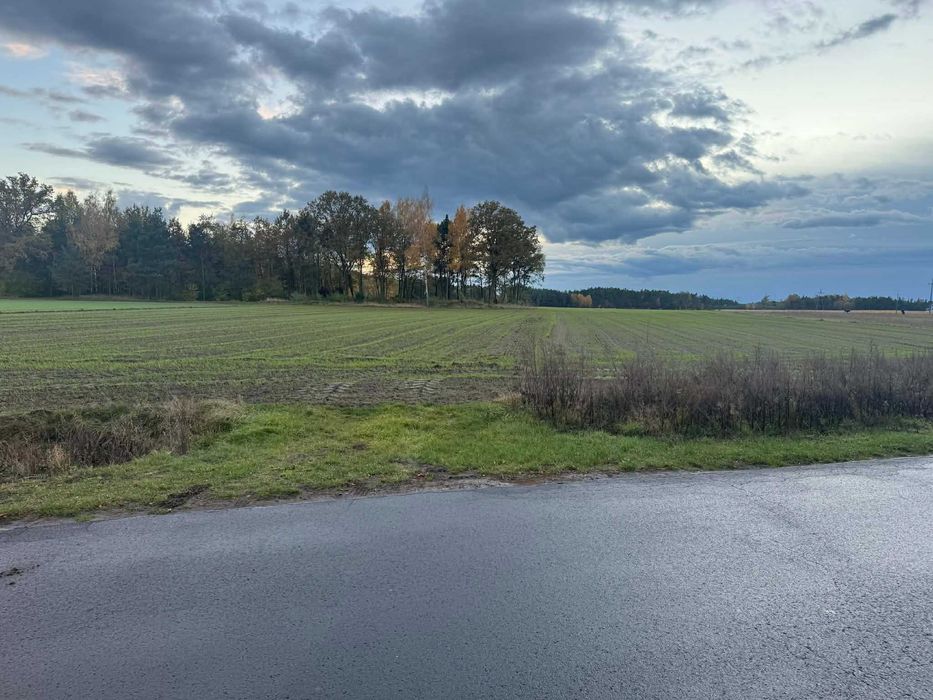 Sprzedam 4ha ziemi w jednym kawałku 90mx460m