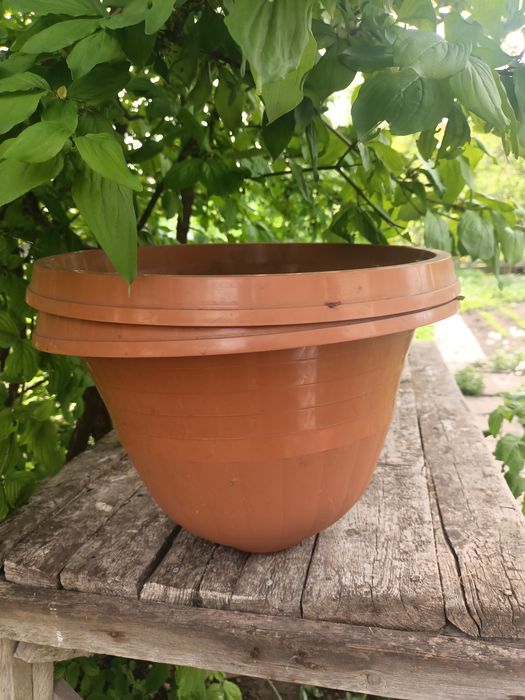 Гаршок, кадка для цветов.