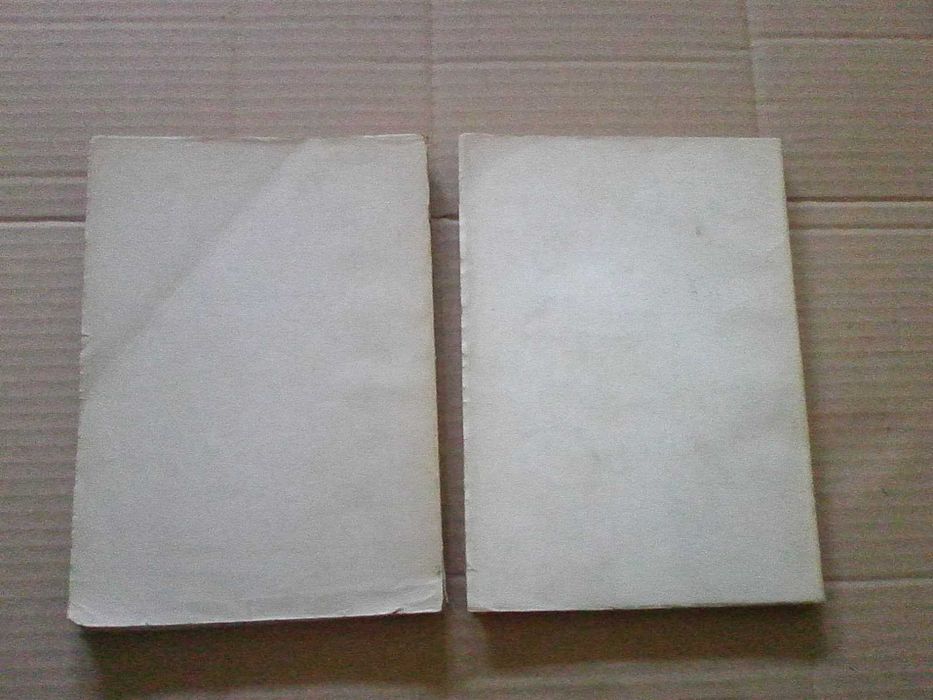 Manual de Ciência Política e Direito Constitucional