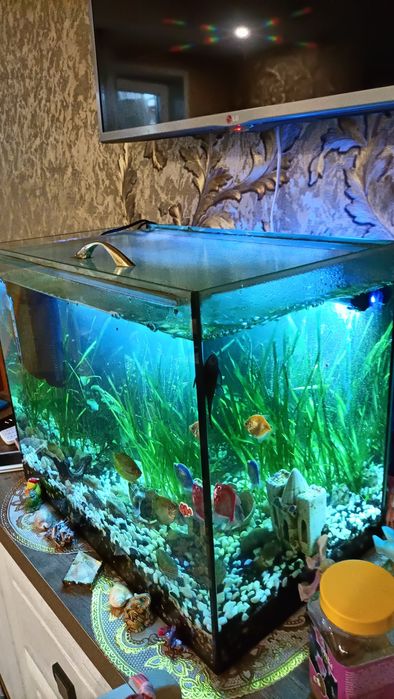 Продам аквариум со всем комплектующим .