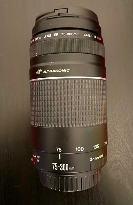 Objectiva Canon EF 75-300mm f/4-5.6 III