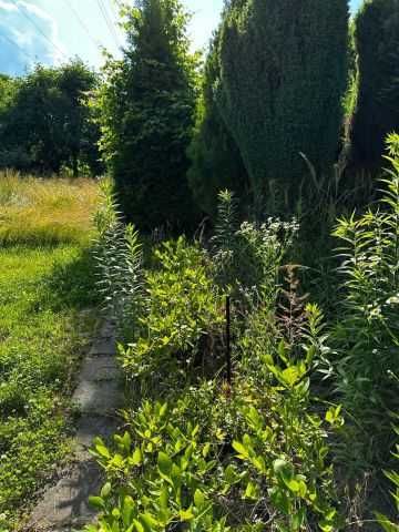 Sprzedam Działkę ROD Hutnik, ponad 700m2