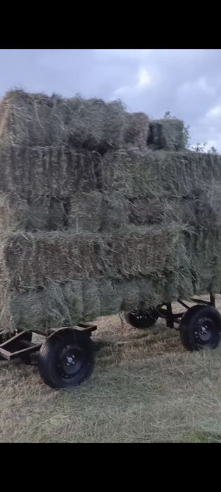 Трактор кентавр 350вр