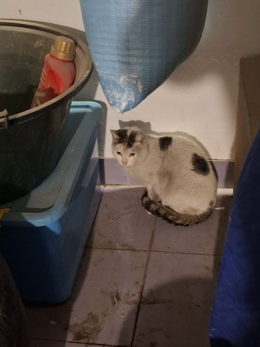 Błagam podaruj mi dom