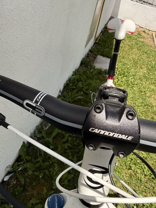 Cannondale Trail SL4 R29