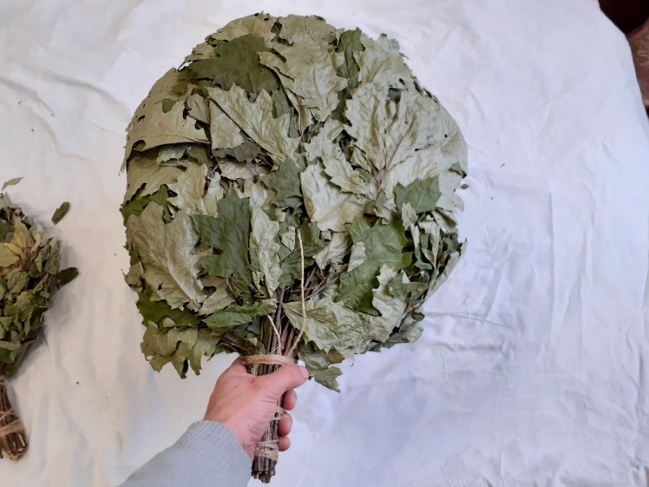 Віники Дуб Бераза Липа 1/10/51