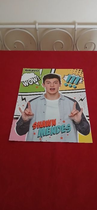 Poster Shawn Mendes, novo