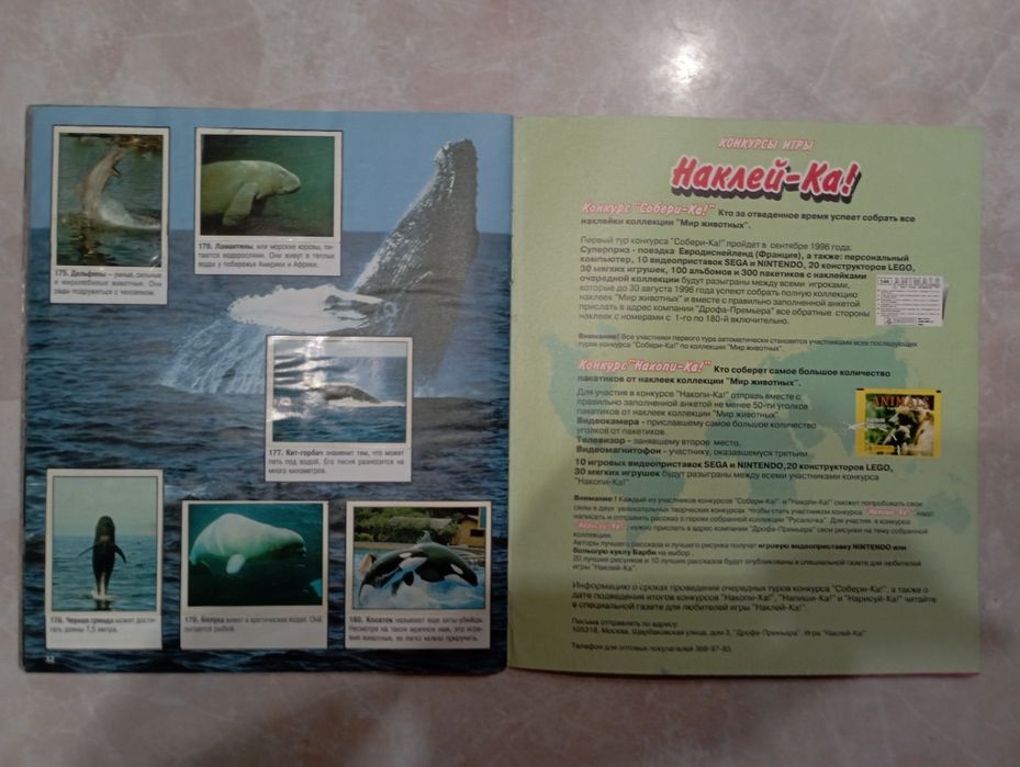 Мир животных panini