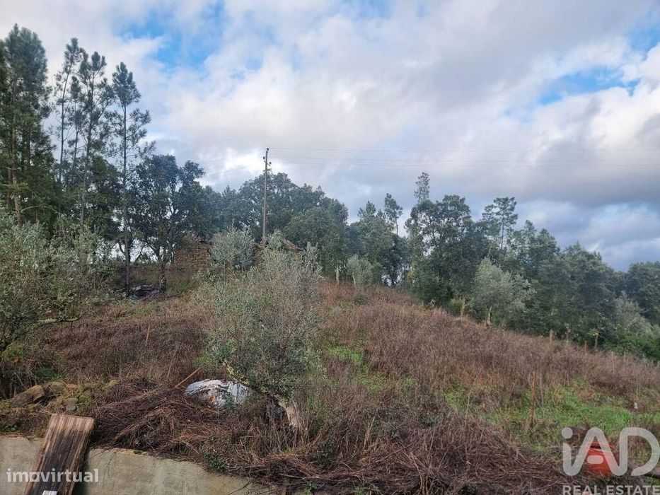 Moradia isolada T3 em Cernache do Bonjardim, Nesperal e Palhais de 202