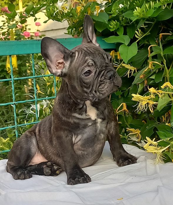 Мальчишка ждет семью