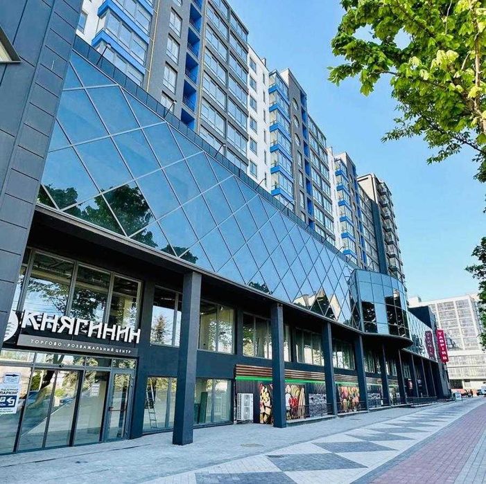 ЦЕНТР. 1к квартира з кухнею студією та видом на гори