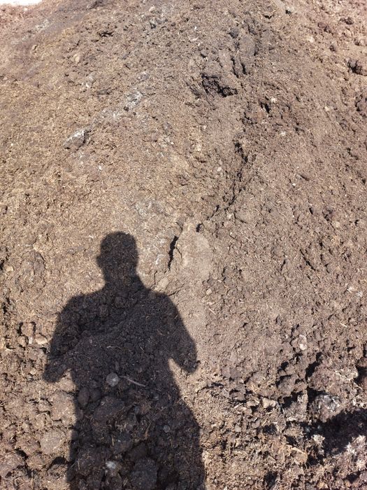 Obornik bydlęcy Obornik koński Nawóz naturalny