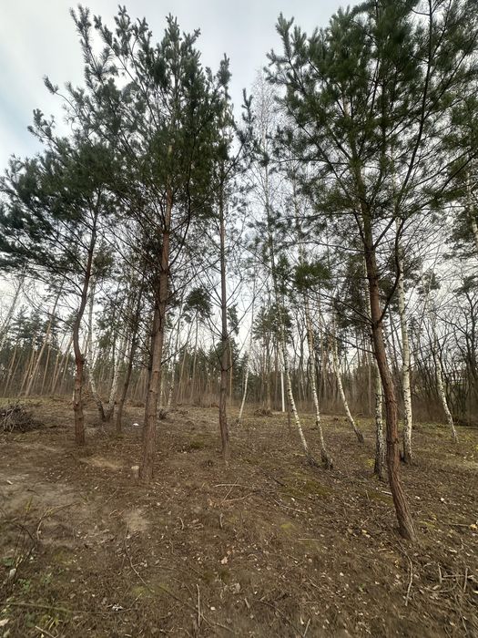 Продам ділянку  6 сот; 11 сот,  Ходосівка