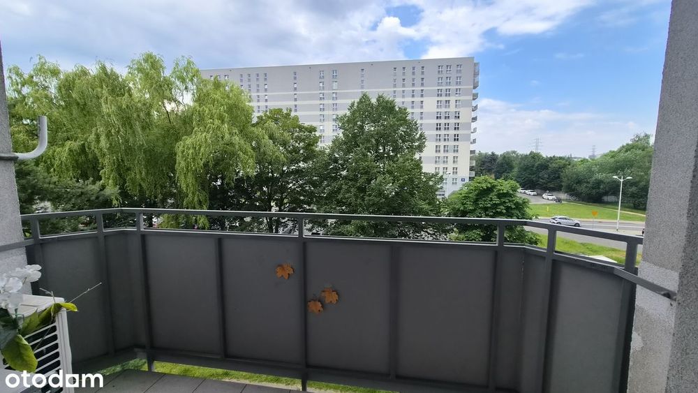 3 pokoje Radockiego blisko Bażantowo