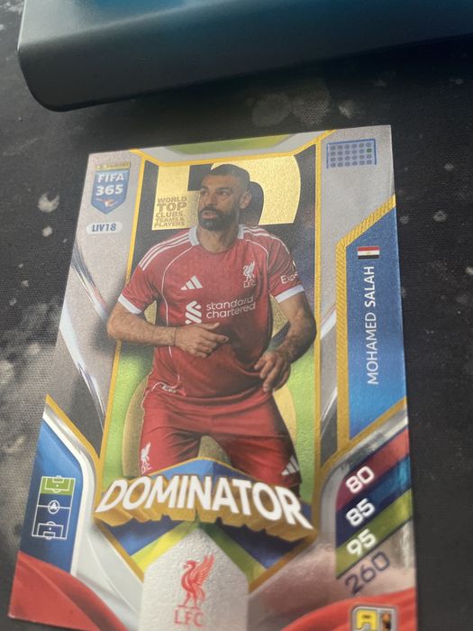 Karty piłkarskie fifa 365