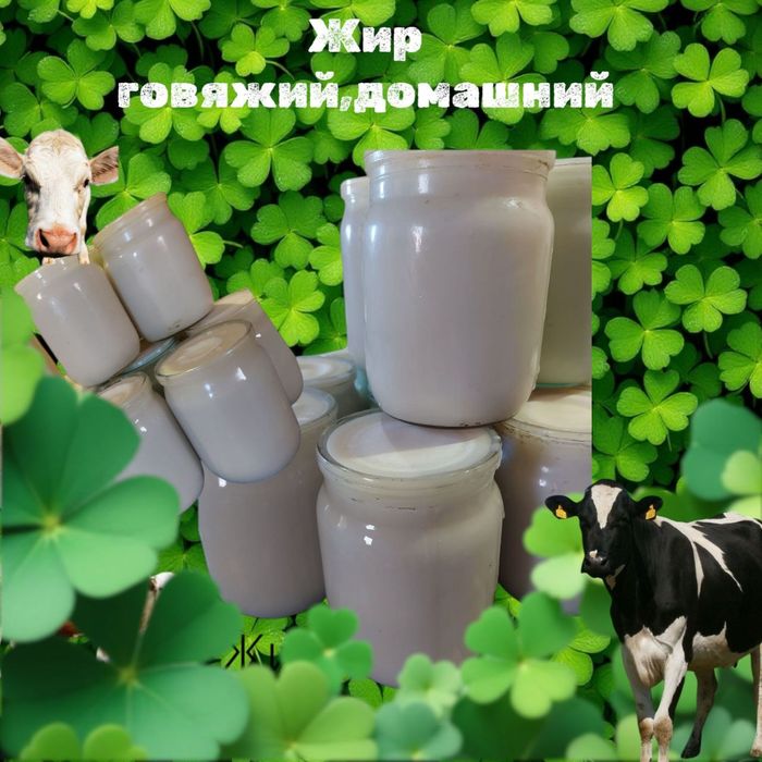 Домашний говяжий жир .