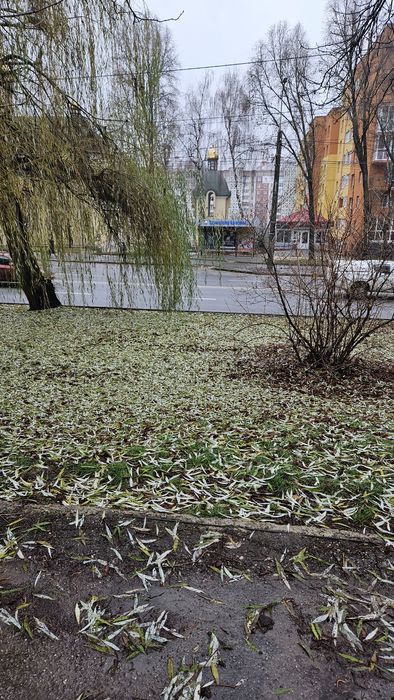 Оренда приміщення власник Злуки 35
