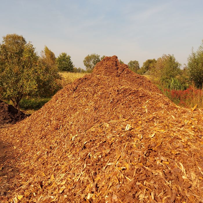 Kora sosnowa  80l worek 14zl