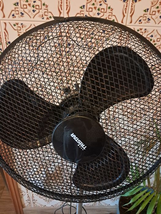 Ventoinha de pé Tristar