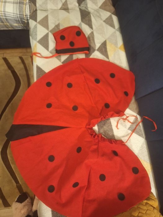 Przebranie biedronka