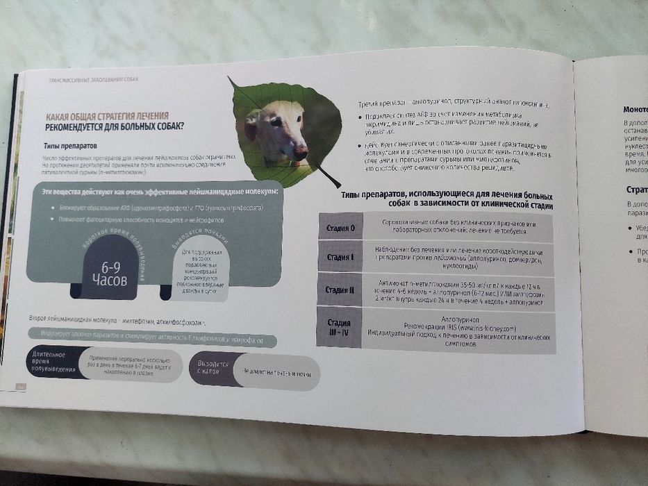 Трансмісивні хвороби собак