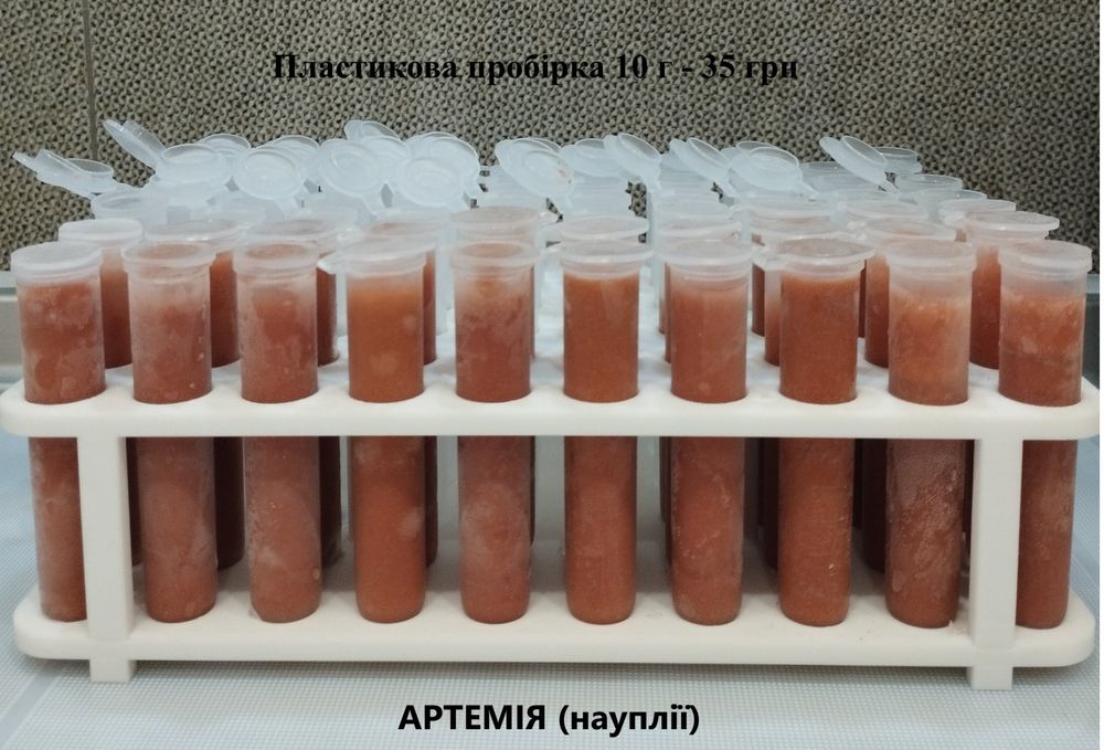 Артемія заморожена/Інкубатор для виведення артемії