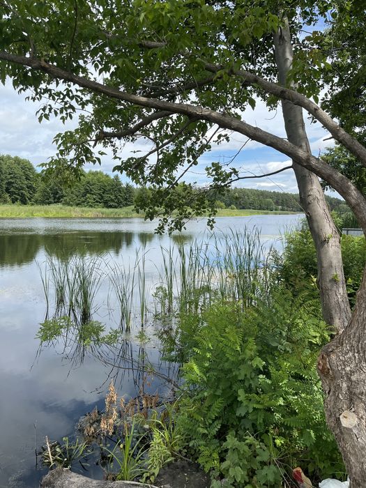 Кийлів. Ділянка з власним виходом на р.Дніпро!
