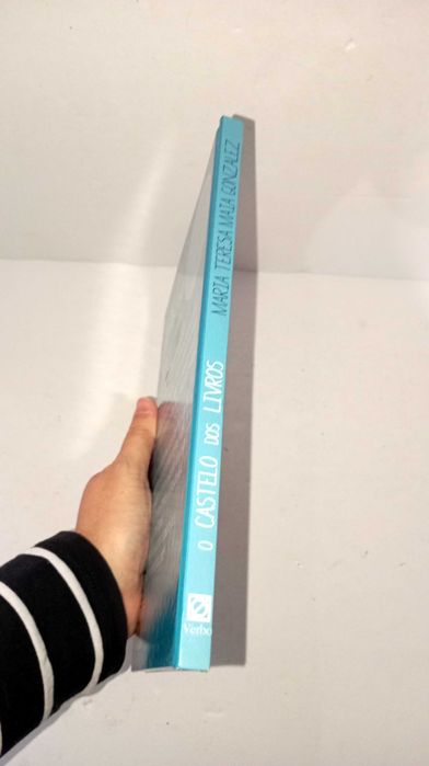 O Castelo dos Livros