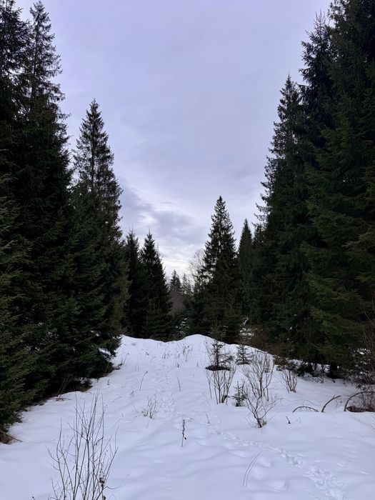 Ділянка в Карпатах біля річки ( Кривопільський перевал )