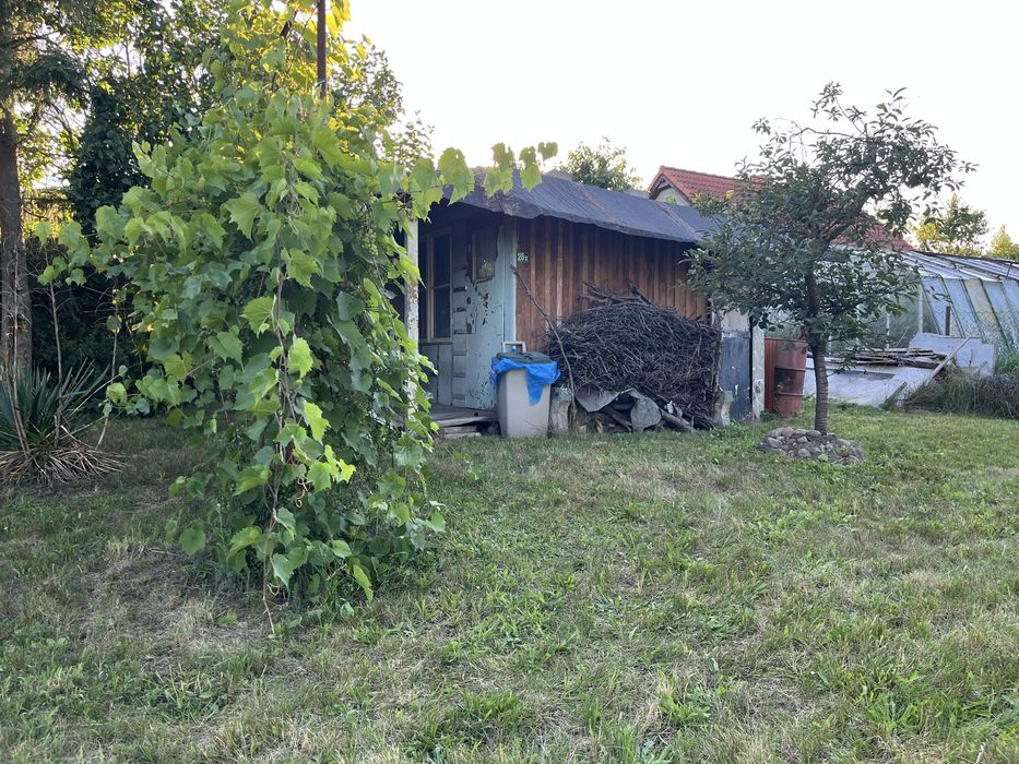 Działka ROD Relaks Droszków