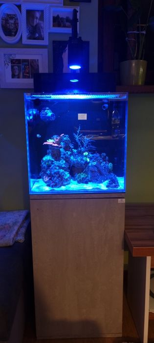 Akwarium Morskie 64L panel filtracyjny. Trzebinia • OLX.pl