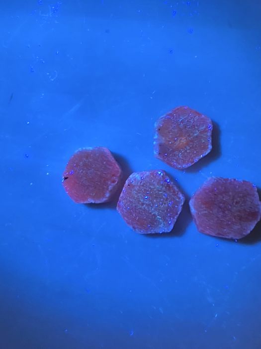 Szafiry - Madagaskar, fluoresencja, minerały UV