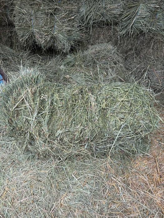 Продам сено в тюках