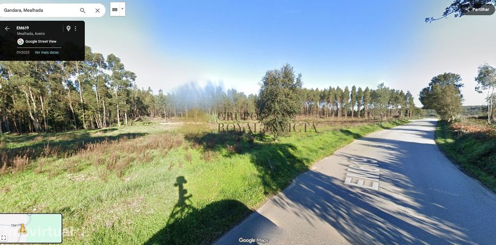 Terreno Rústico com 5.290 m² – Grada, Mealhada — Mealhada, Ventosa Do Bairro E Antes, Aveiro
