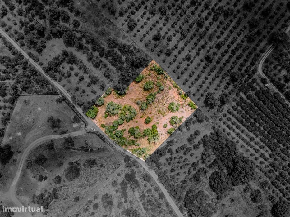 Terreno rústico em Torres e Cercas (Silves) – 2670 m2, bons acessos e — Silves, Faro
