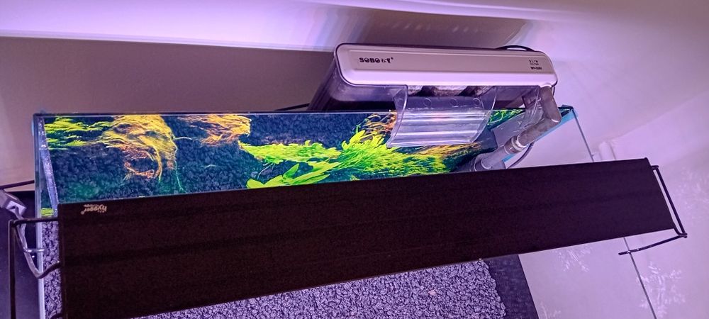 Akwarium  cały zestaw gotowe