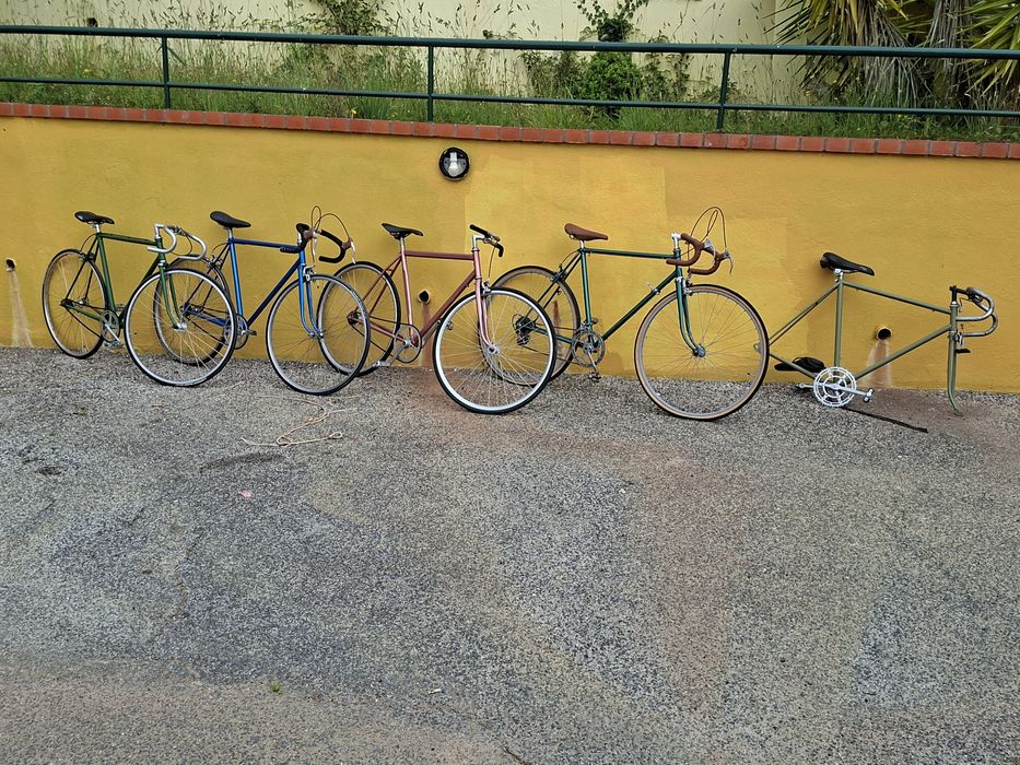 Bicicletas só lote