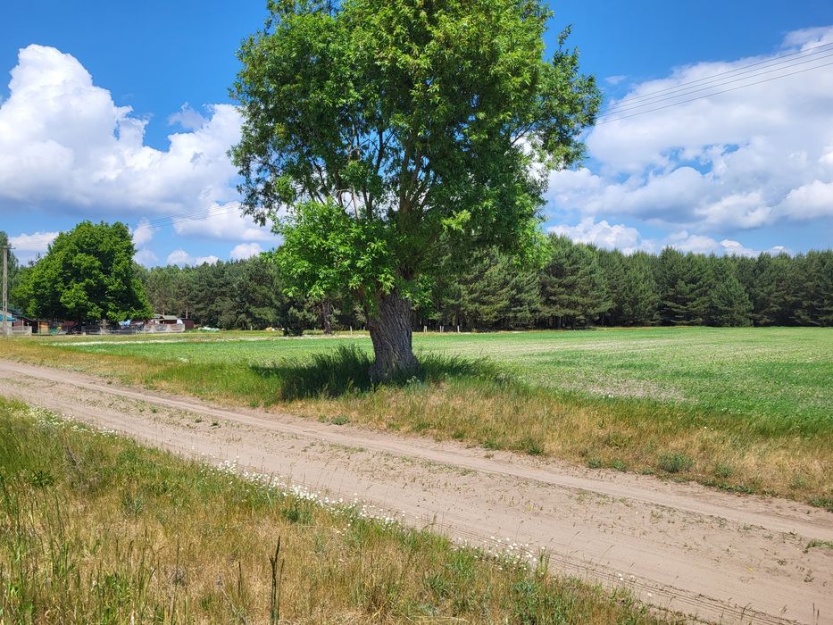 Działka budowlana inwestycyjna
