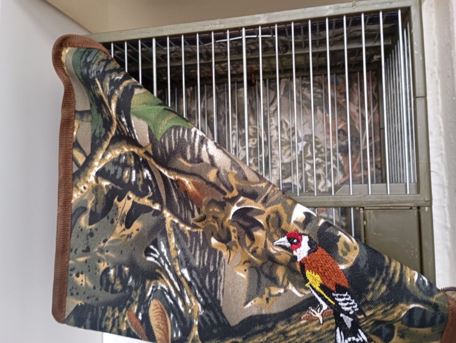 Canários Arlequim Português  e Gaiolas