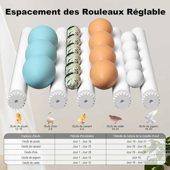 Автоматичний інкубатор CoInceptus для 12-16 яєць