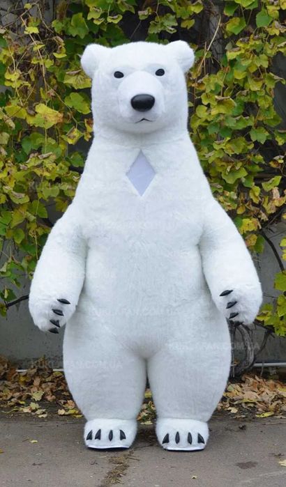 ВЕДМЕДИК, ВЕДМІДЬ на свято, аніматор