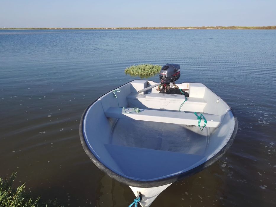 Vendo barco vega com motor 9.9