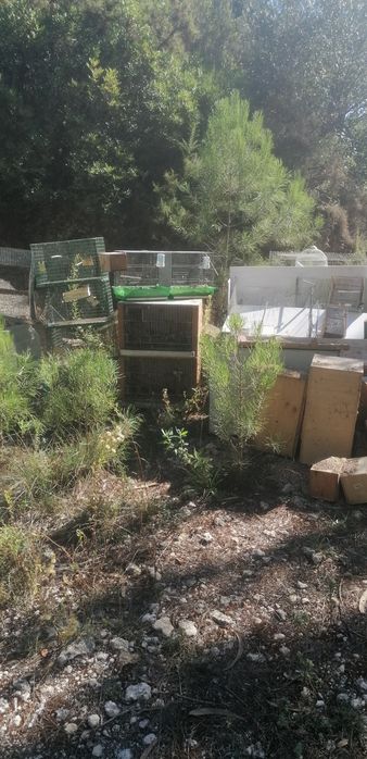 Gaiolas, ninhos e acessórios